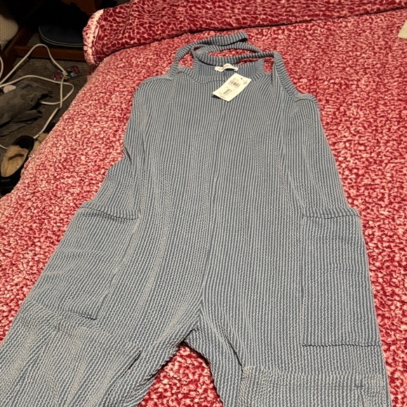 Wasabi + Mint Pants - Blue Striped Jumpsuit
